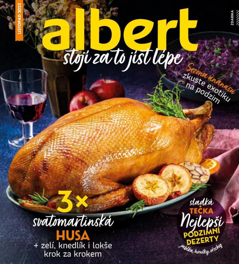 katalog Albert. Albert (2022-11-02-2022-11-30)